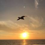 Roniyah Profile Picture