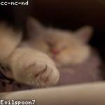 Mazie Jacobs Profile Picture