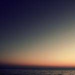 Palma Renner Profile Picture