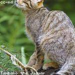 Sonny Hermann Profile Picture