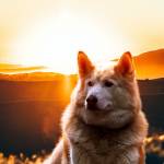 Jonathan Flair Profile Picture