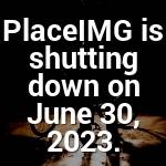 Janice Cummerata Profile Picture