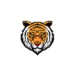 Ranthambore Safari Booking Profile Picture