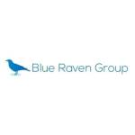 Blue Raven Group Profile Picture