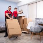 Office Removals Services Near Me Profile Picture