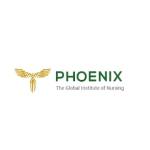 Phoenix_Nursing Institute profile picture