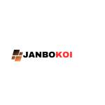 jan bokoi Profile Picture