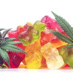 lightmareVio Profile Picture