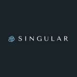 singulardex profile picture