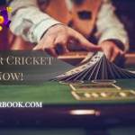 Online Cricket Betting ID Profile Picture