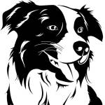 Eazy Dog Training Profile Picture