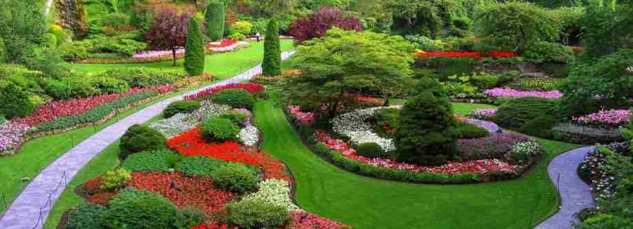 Northern Beaches Garden Trees Cover Image