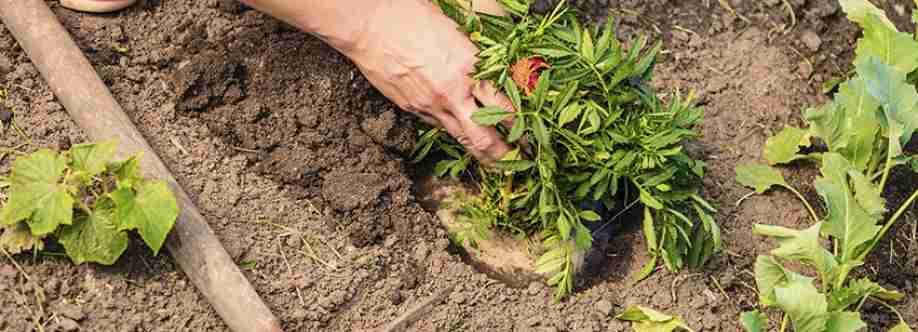 Prime Landscaping Solutions Cover Image