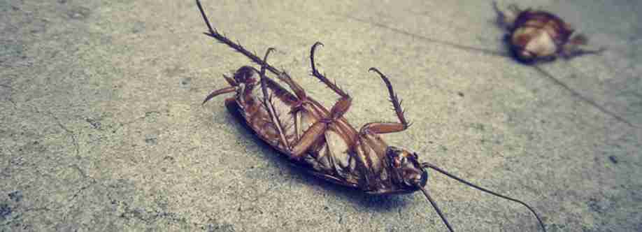 Active Pest Control Management Cover Image