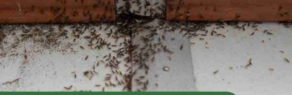 Chambers Pest Solutions Cover Image