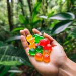 Hemp Labs CBD Gummies Reviews Profile Picture