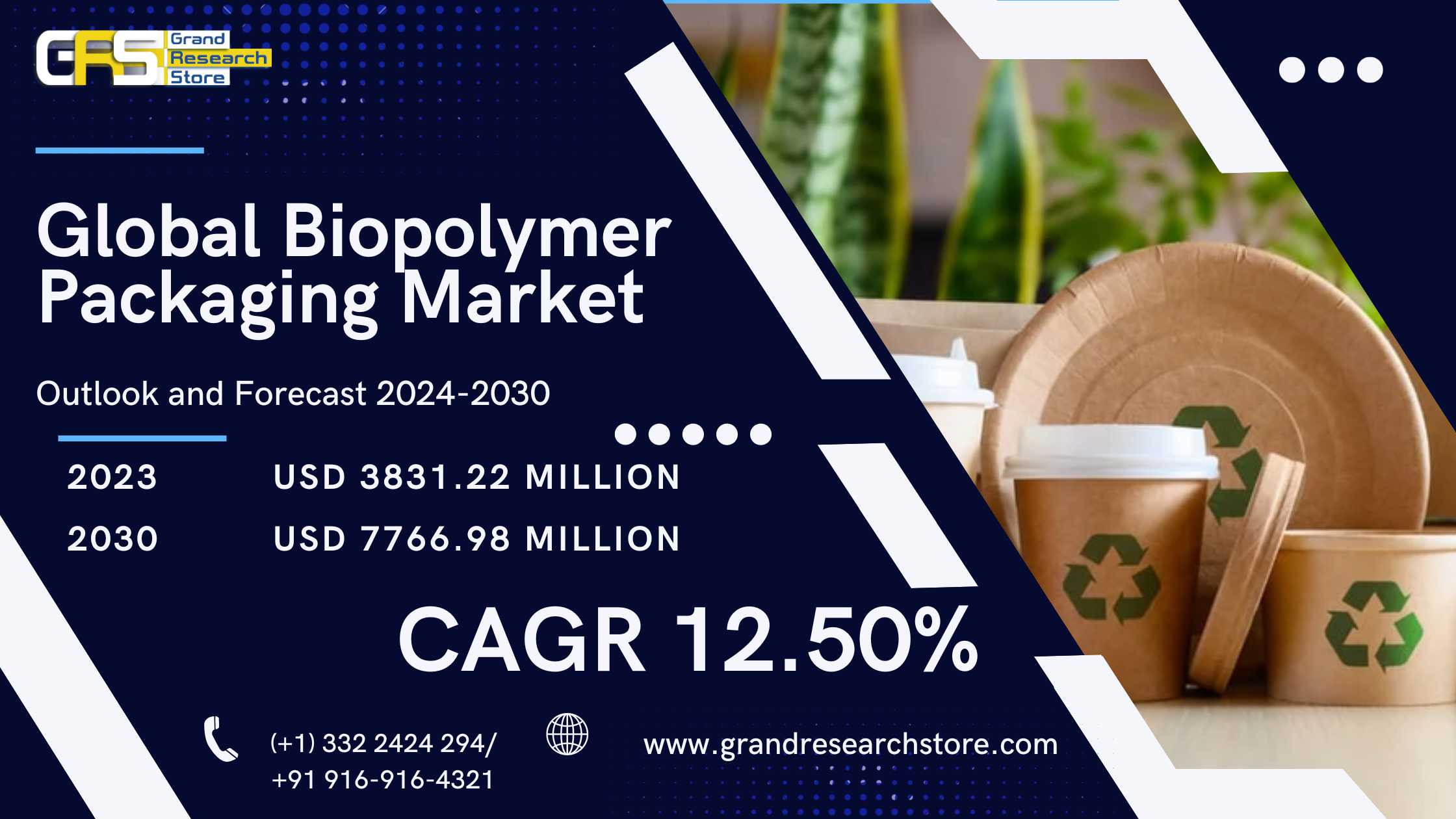 Global Biopolymer Packaging Market Research Report..