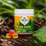 Peak 8 CBD Gummies reviews Profile Picture