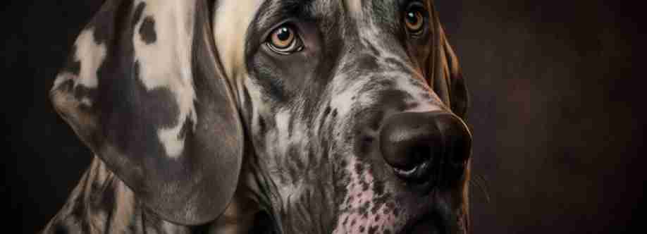 Katherine Bills Cover Image