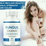 Fungus Exodus Profile Picture