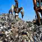 Alexis Legge Profile Picture