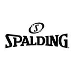 Spalding New Zealand Profile Picture