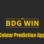 Bdg Win Profile Picture