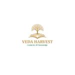 Veda Harvest Profile Picture