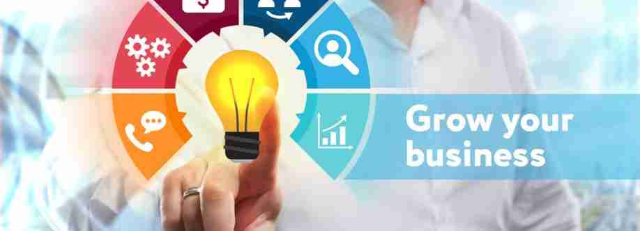 ROI Web Solution Cover Image