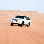 liwadesertsafari Profile Picture