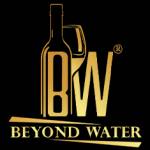 Beyond water Profile Picture