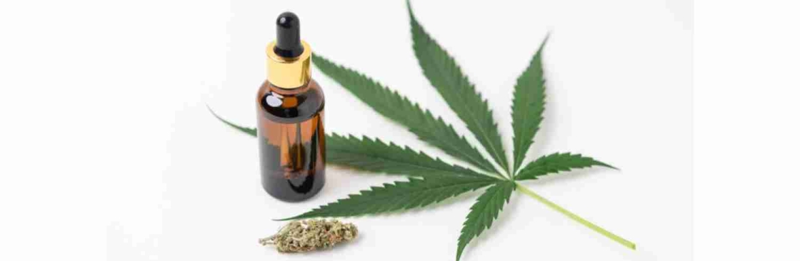 Iowa MMJ Card Doctor Cover Image