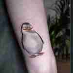 David Strods Tattoo Profile Picture