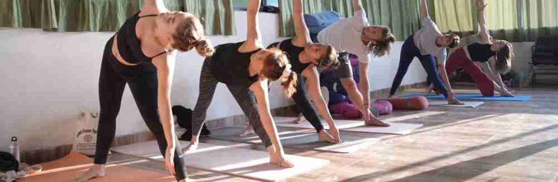 YIN YANG YOGA ACEDEMY Cover Image