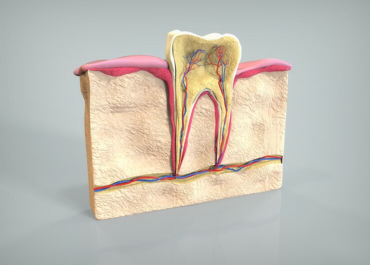 Purpose of Root Canal Treatment: How Dental Treatment Experience Can Be Painless