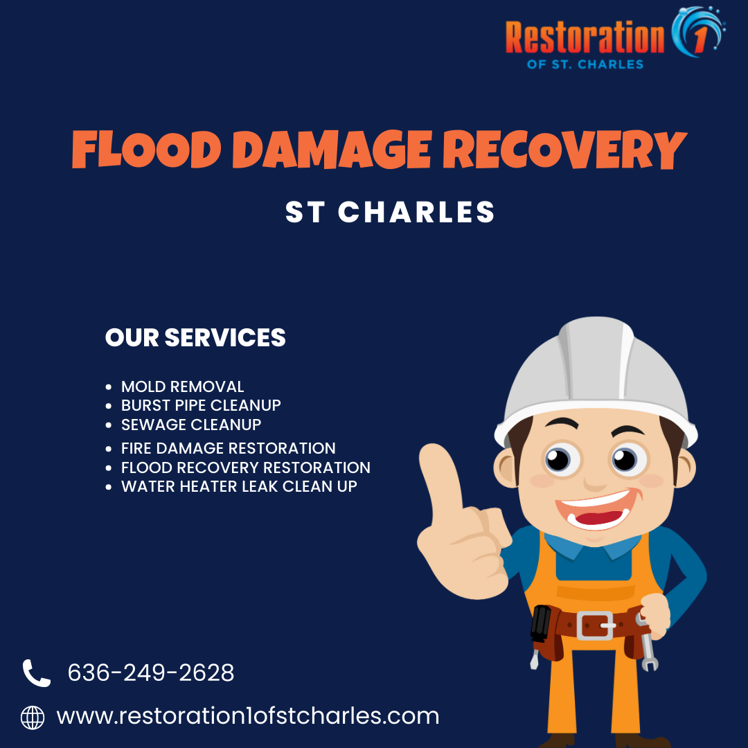 Whizolosophy | Why You Should Hire Experts for Smoke Damage Repair