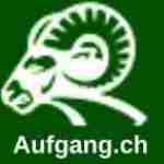 Auf Gang Profile Picture