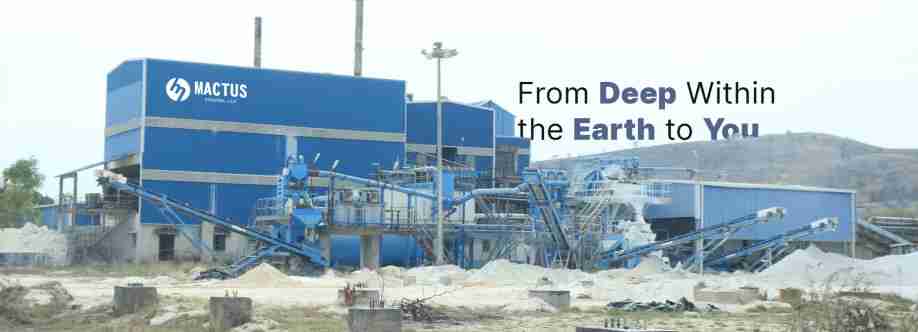 Mactus Mineral LLP Cover Image