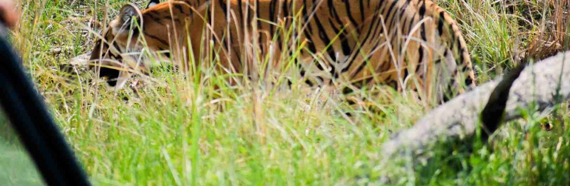 Corbett Online Cover Image