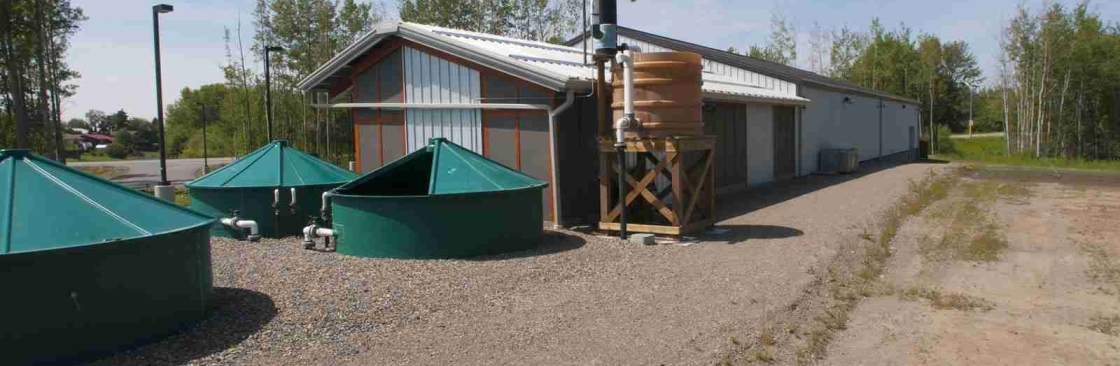 Ferro Building Systems Cover Image