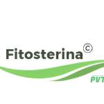 Fitosterina latest Information Profile Picture