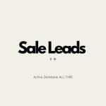 Sale Leads Profile Picture