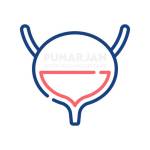 BladderCancerTreatments Vijayawada Profile Picture