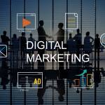 The Digital Warehouse Profile Picture