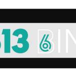 613 Bins Profile Picture