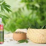 Wilfor dkirby Profile Picture