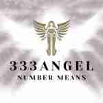 333 Angel Number Means Profile Picture