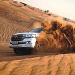 Abu dhabi tour from Sharjah Profile Picture