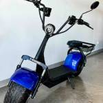 Electric fat tire bikes Profile Picture