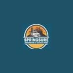 springsureau Profile Picture